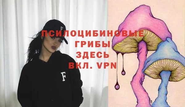 каннабис Майский