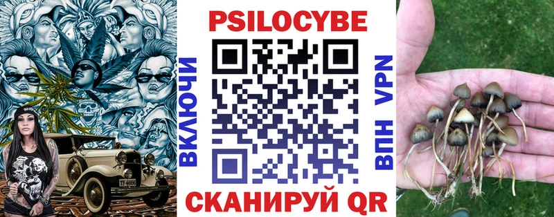 магазин    ОМГ ОМГ как войти  Псилоцибиновые грибы ЛСД  Темрюк 
