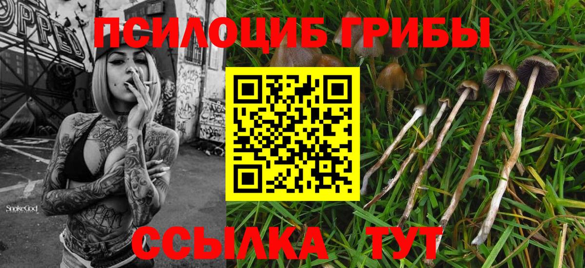 Галлюциногенные грибы Magic Shrooms  Темрюк  Псилоцибиновые грибы MAGIC MUSHROOMS 