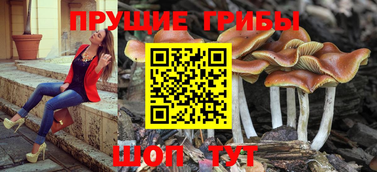 Псилоцибиновые грибы мухоморы Темрюк